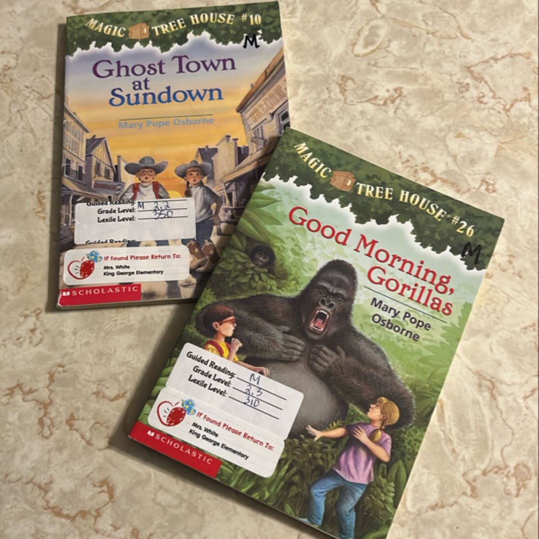 Good Morning, Gorillas