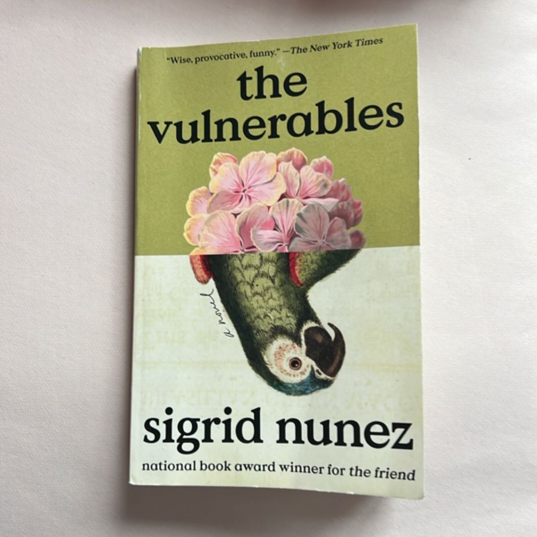 The Vulnerables