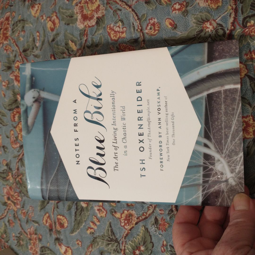 Notes from a Blue Bike