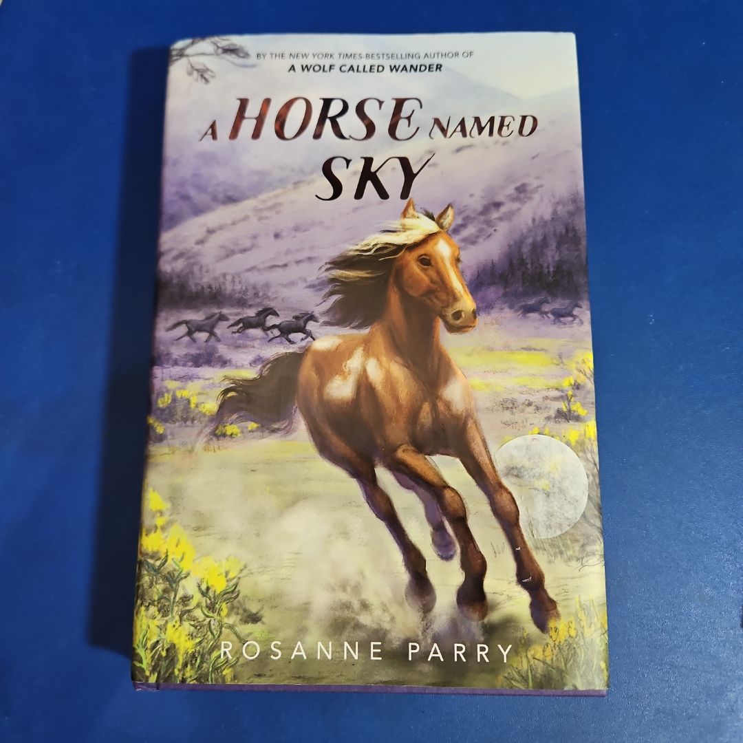 A Horse Named Sky