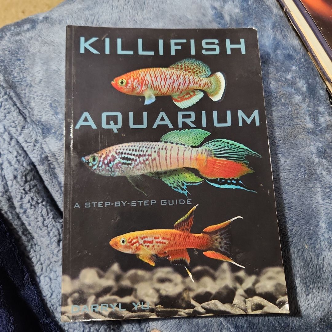 Killifish Aquarium, A Step-By-Step Guide