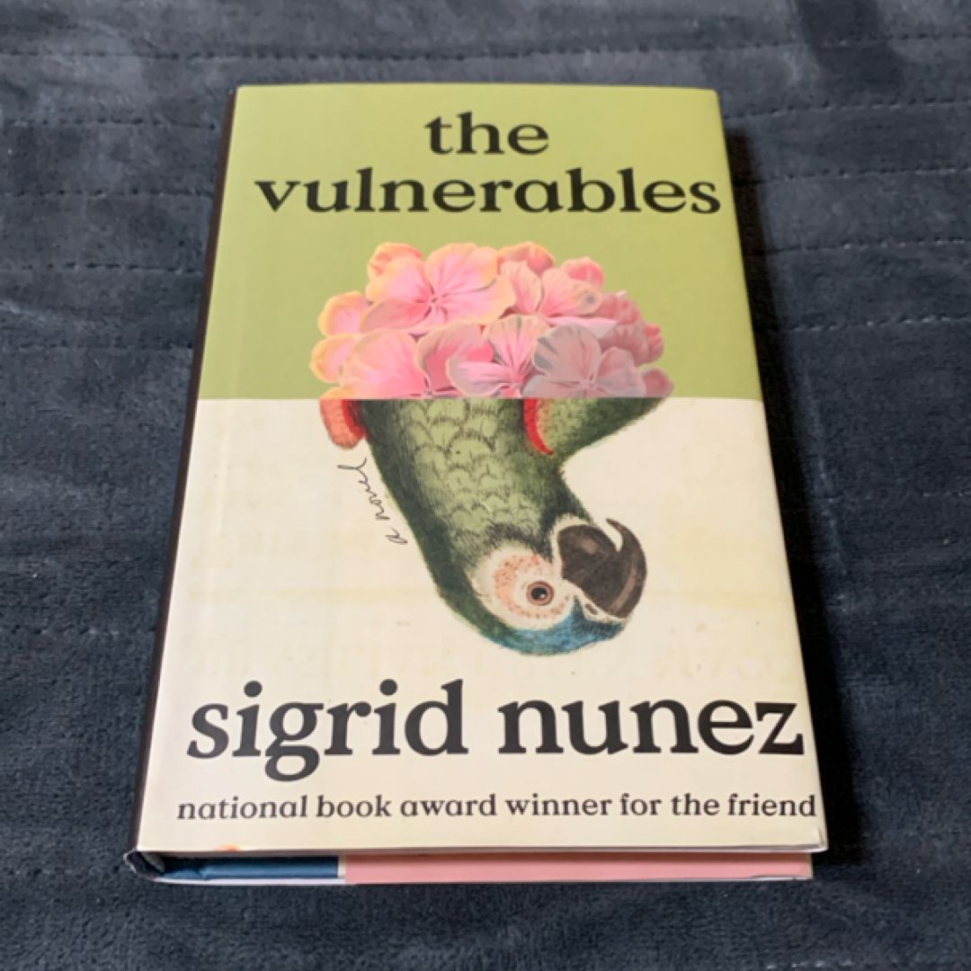 The Vulnerables (new)