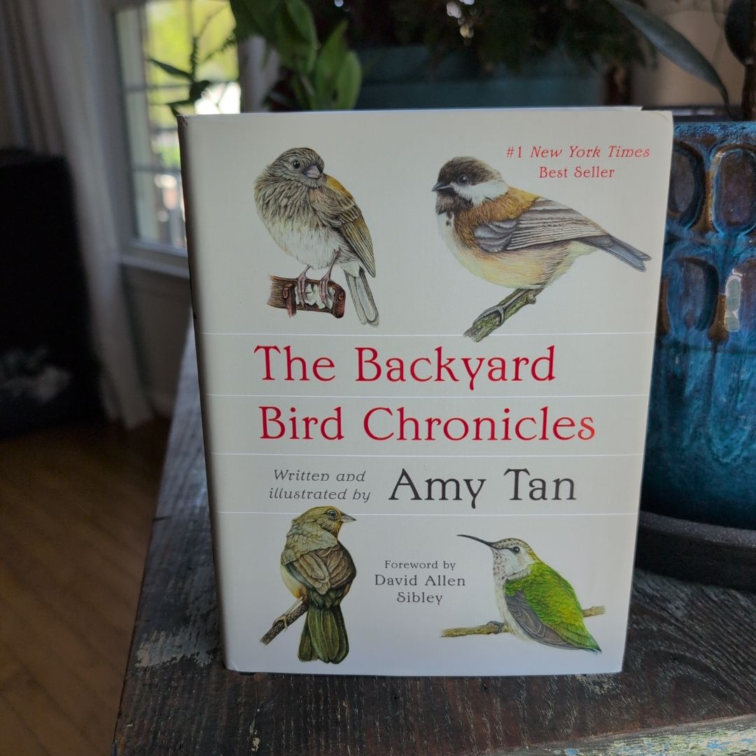 The Backyard Bird Chronicles