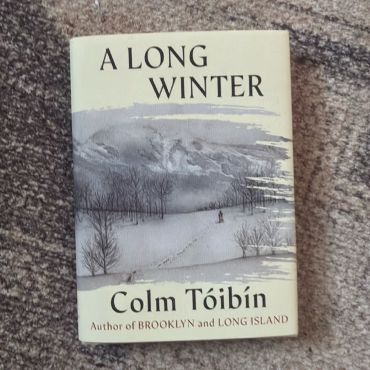 A Long Winter by Colm Toibin
