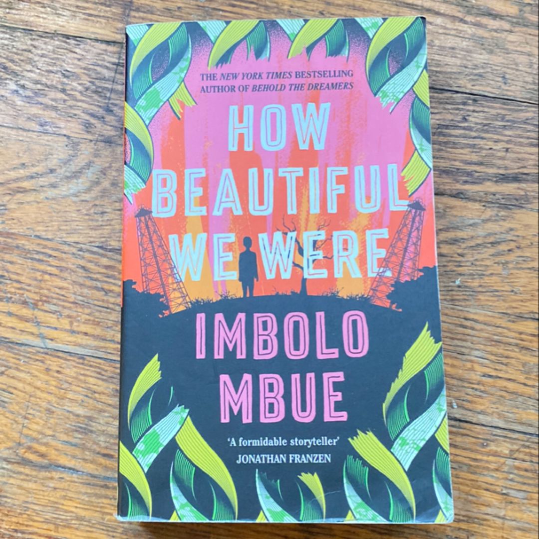 How Beautiful We Were