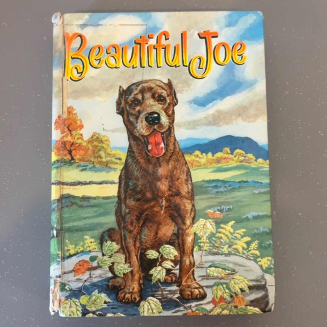 Beautiful Joe