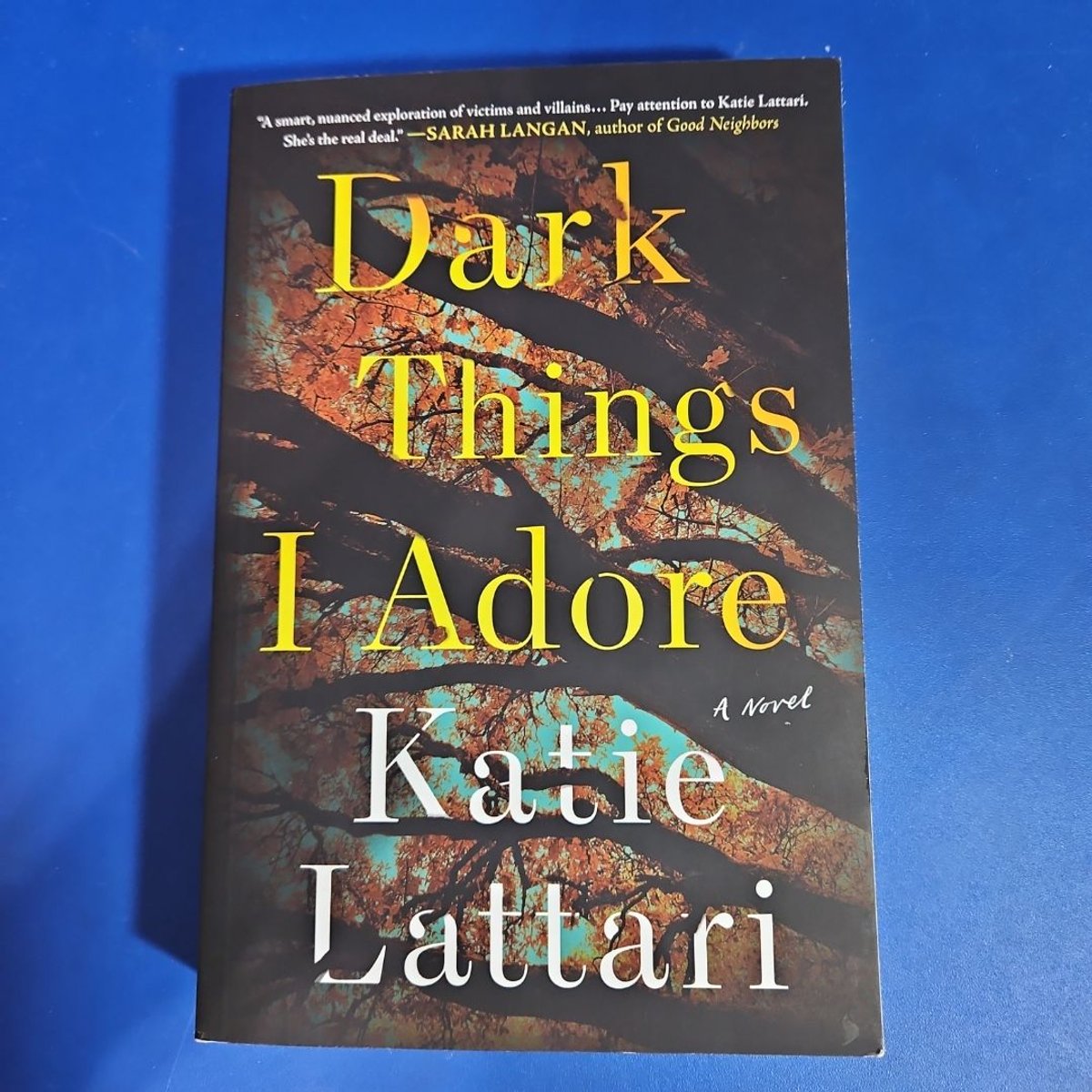 Dark Things I Adore by Katie Lattari