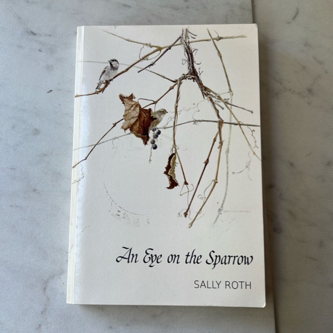An Eye on the Sparrow