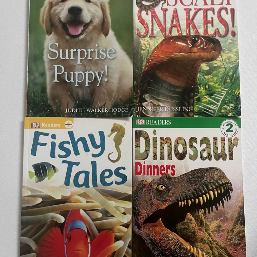 DK Readers Bundle Prelevel 1 to Level 4