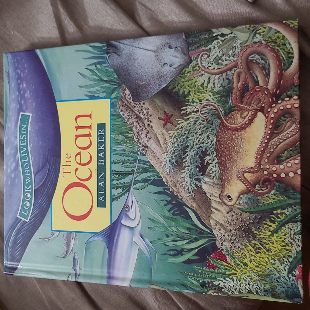 The Ocean