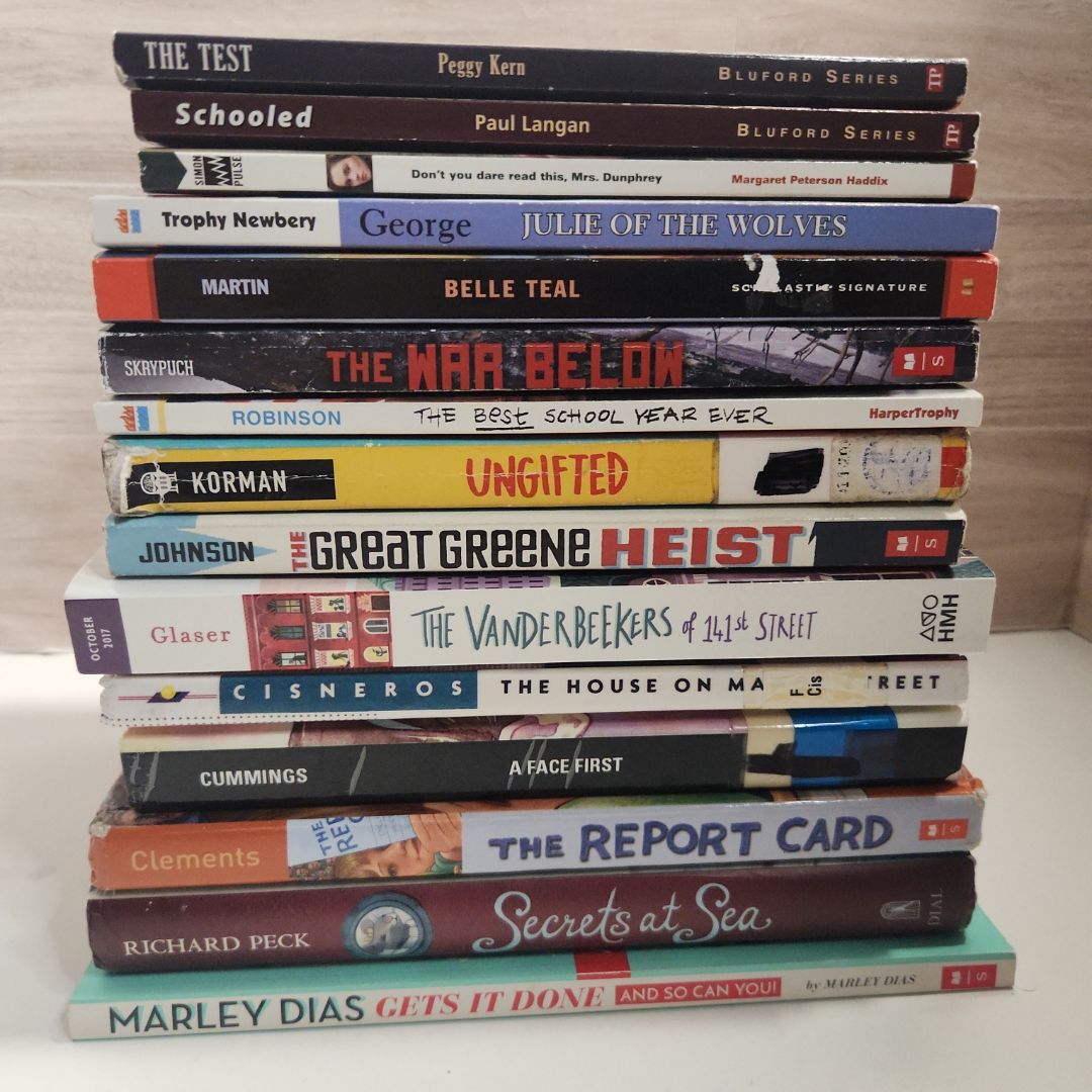 YA book bundle- 15 books