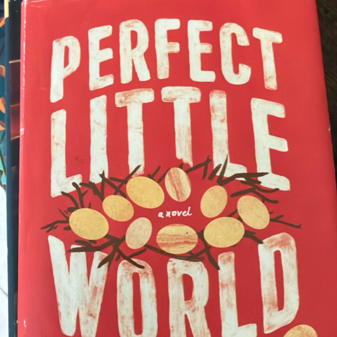 Perfect Little World