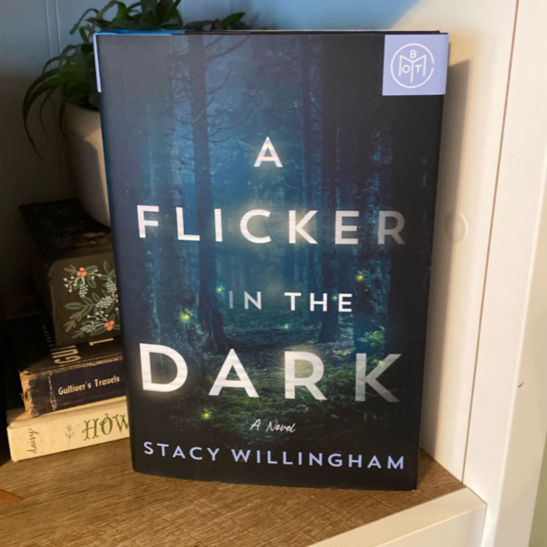 A Flicker in the Dark by stacy Willingham, Hardcover | Pangobooks