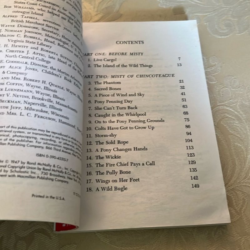 Misty of Chincoteague