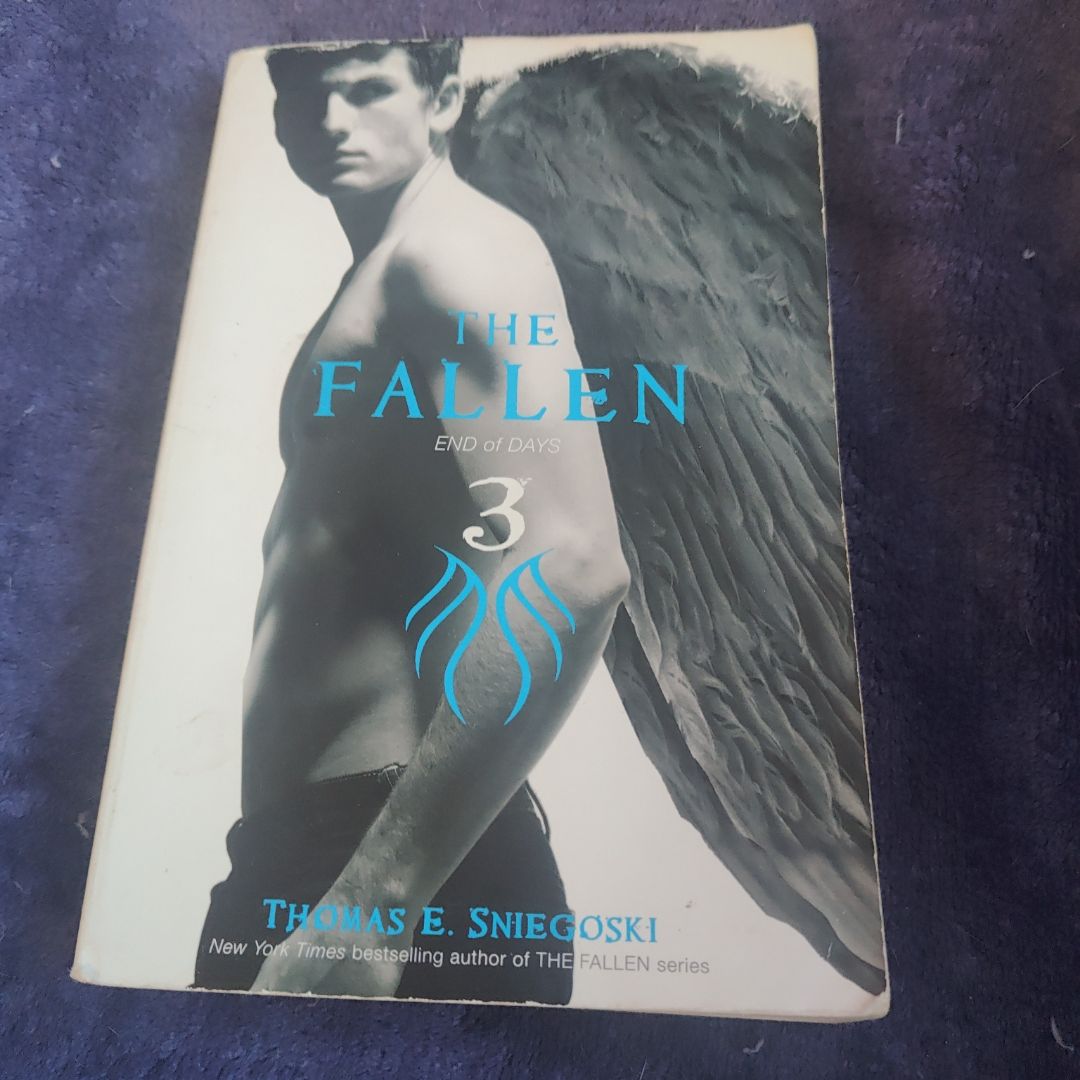 The Fallen 3