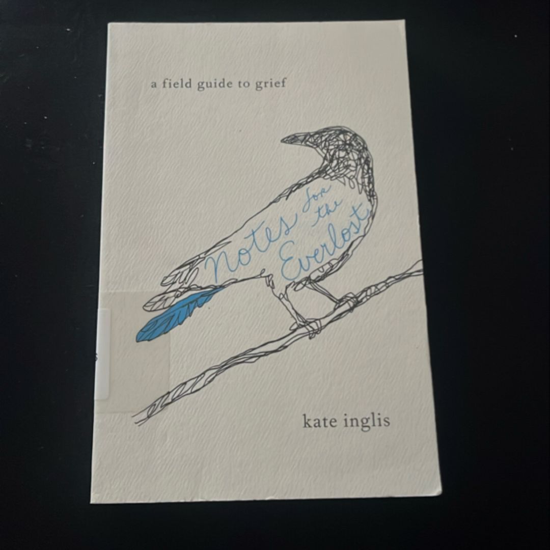 Notes for the Everlost