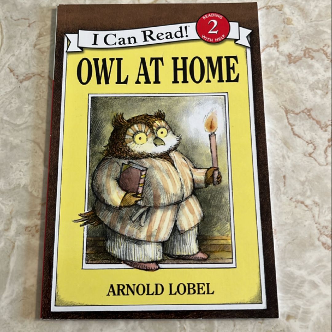 Owl at Home