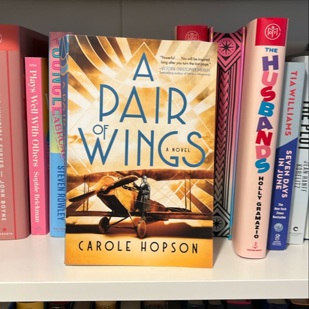 A Pair of Wings