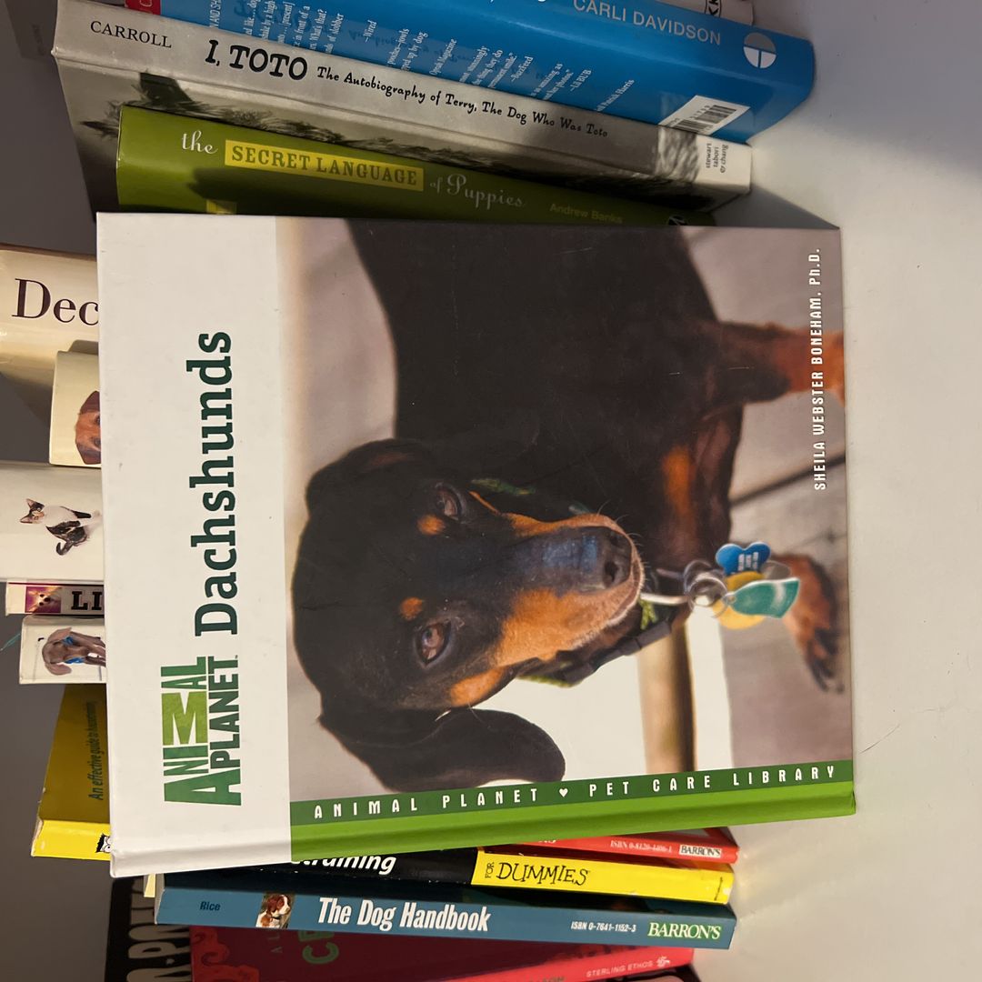 Dachshunds