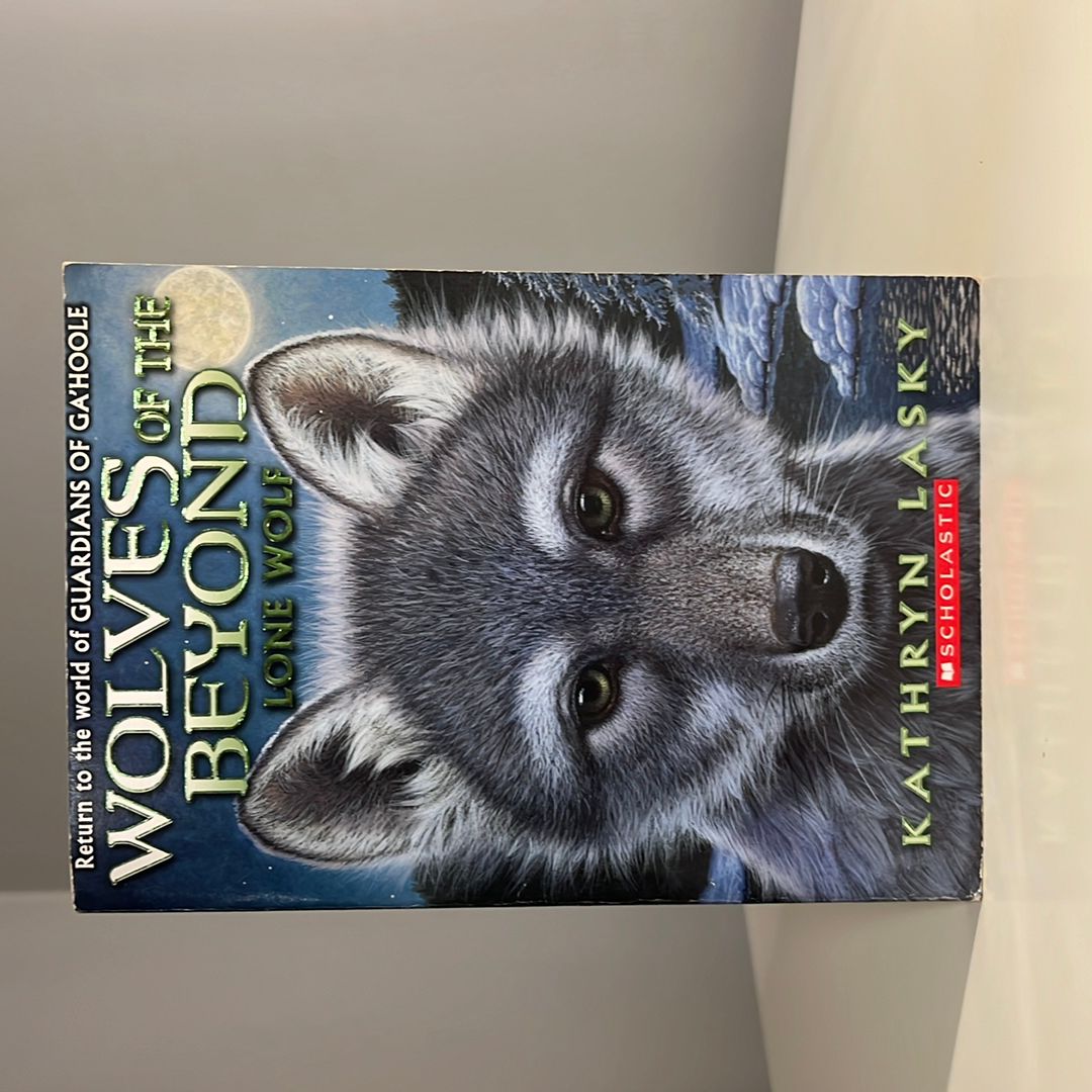 Sale image for 8f946cc4-226a-443c-b21e-0dc3790a05d3-aY6rsfWoYkb4or88hq3HTsWjlGU2