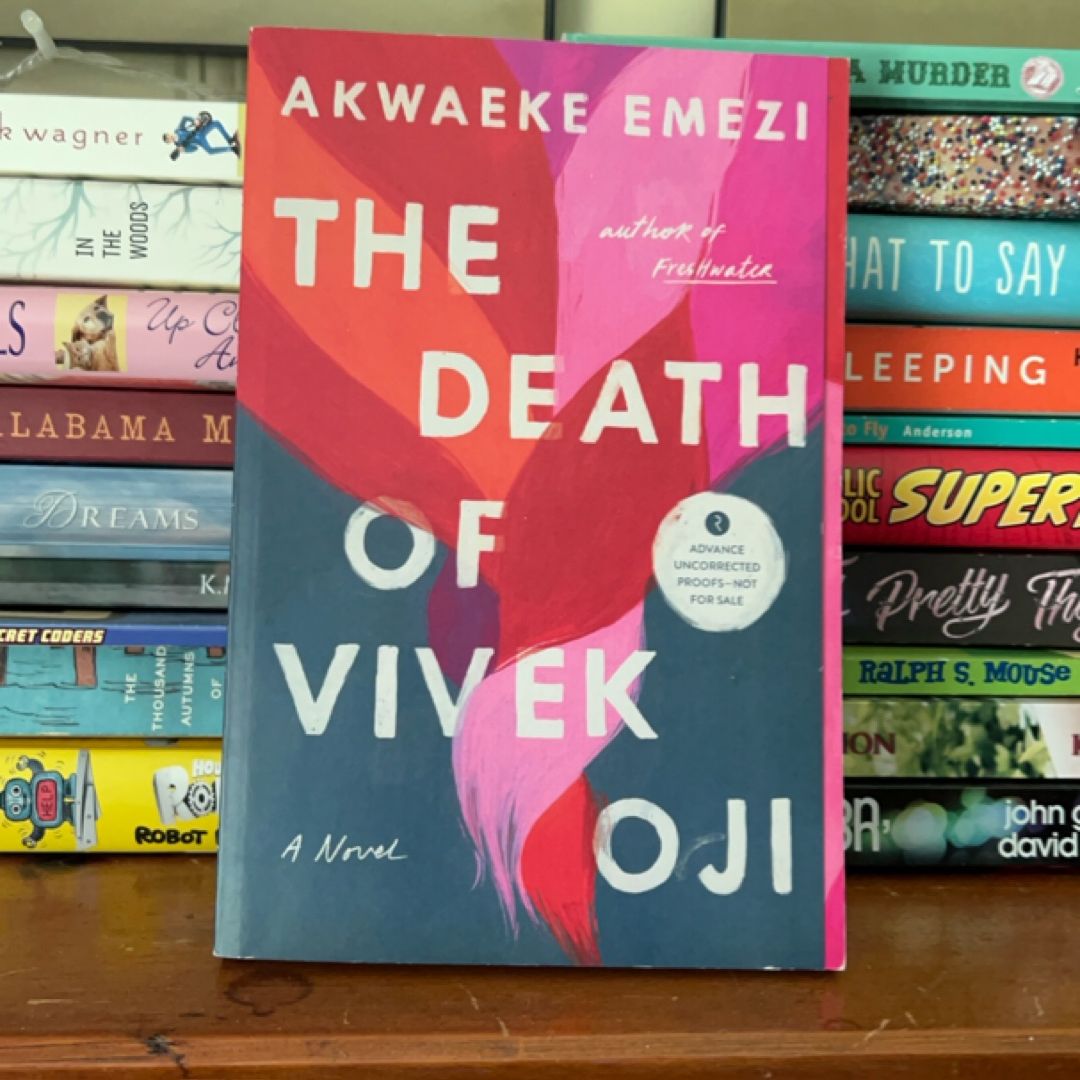 The Death of Vivek Oji