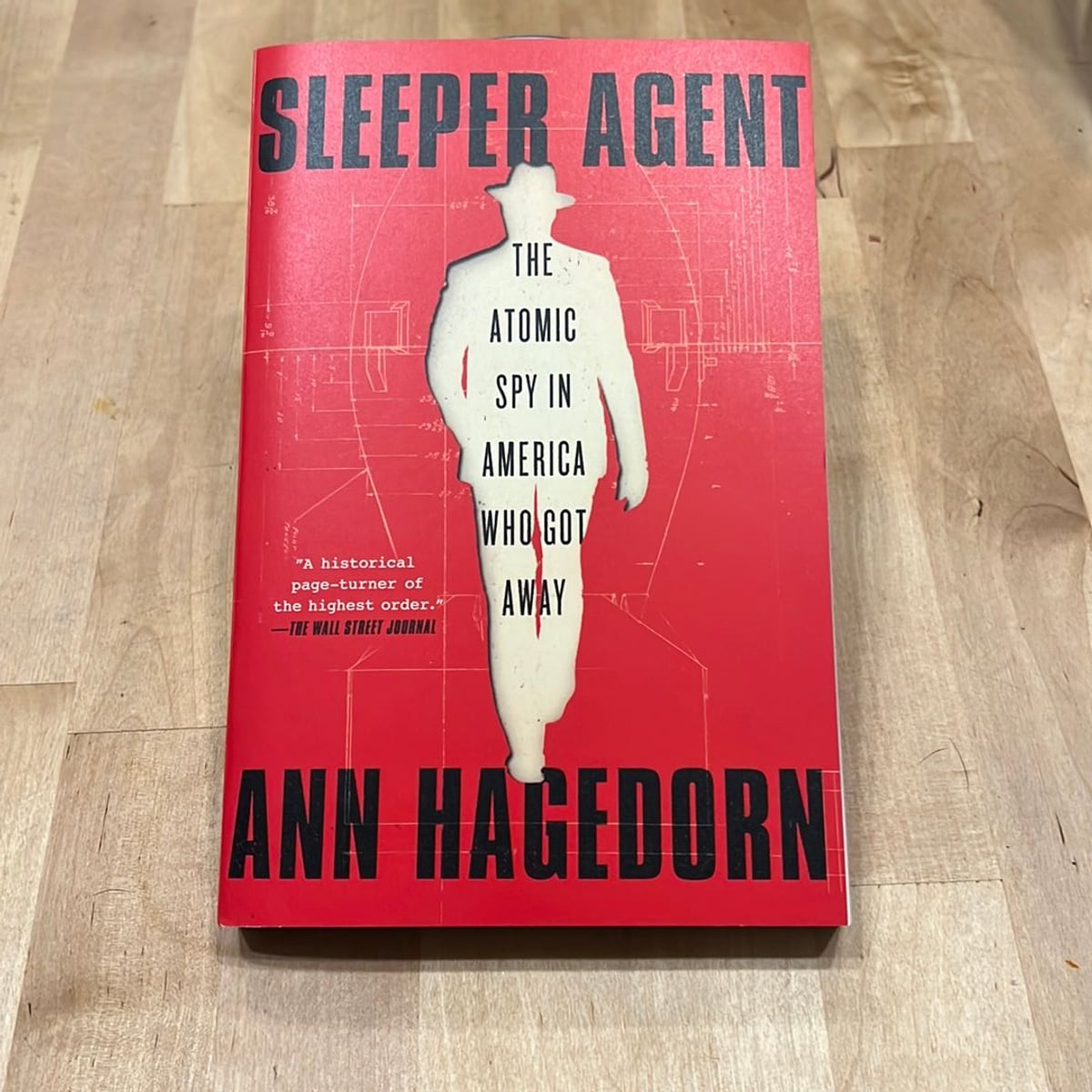 Sleeper Agent by Ann Hagedorn