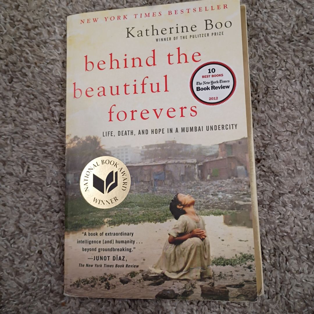 Behind the Beautiful Forevers