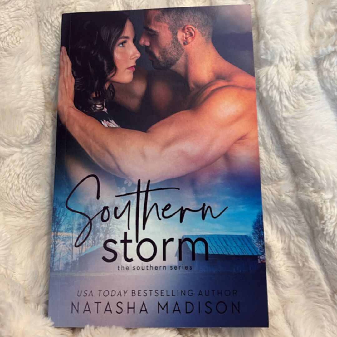 Southern Storm (the Southern Series)