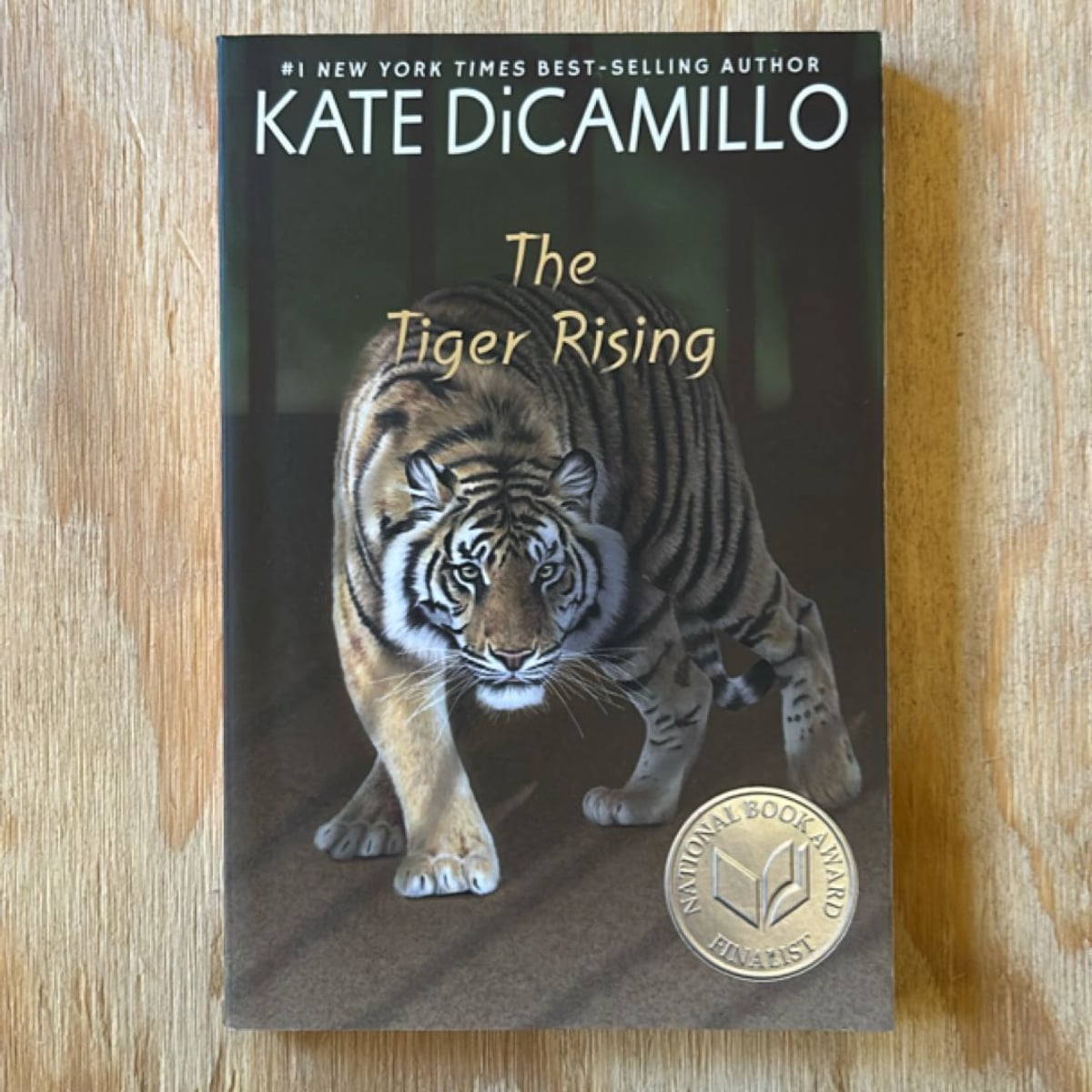 The Tiger Rising by Kate Dicamillo