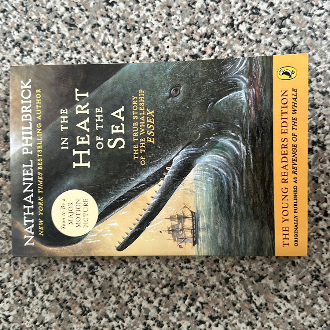 Sale image for db6cf4b6-3dfb-4bca-b779-e55f23ccb04f-fjUEOu3VAhaV8z1pBzRLNmgxYkH2