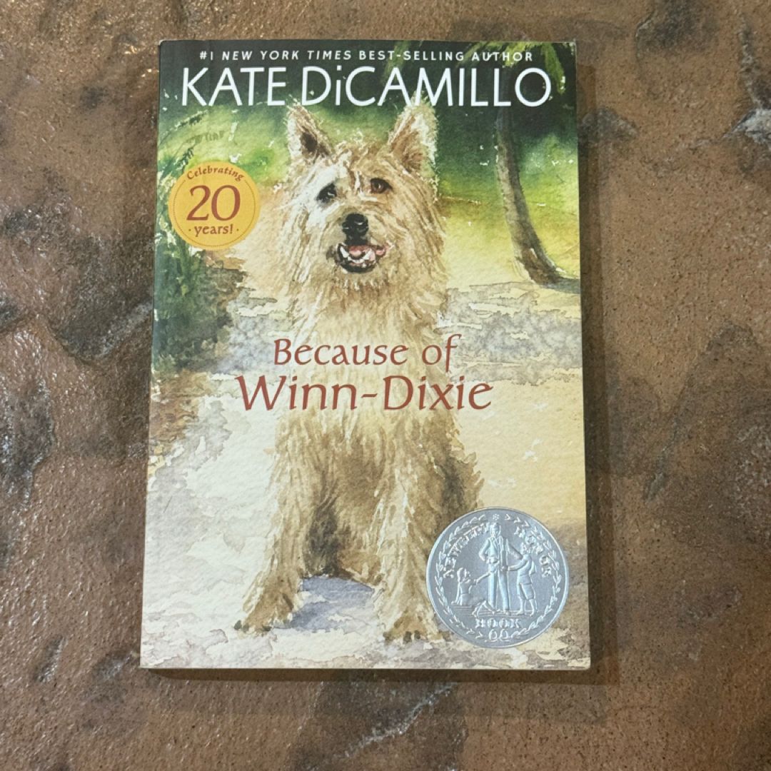 Because of Winn-Dixie