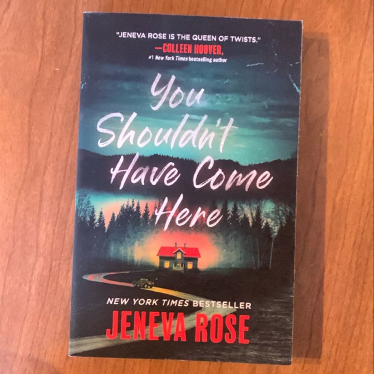 You Shouldn't Have Come Here by Jeneva Rose, Paperback Pangobooks