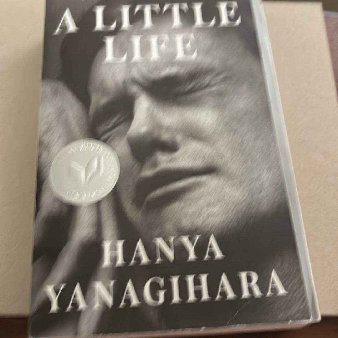 A Little Life