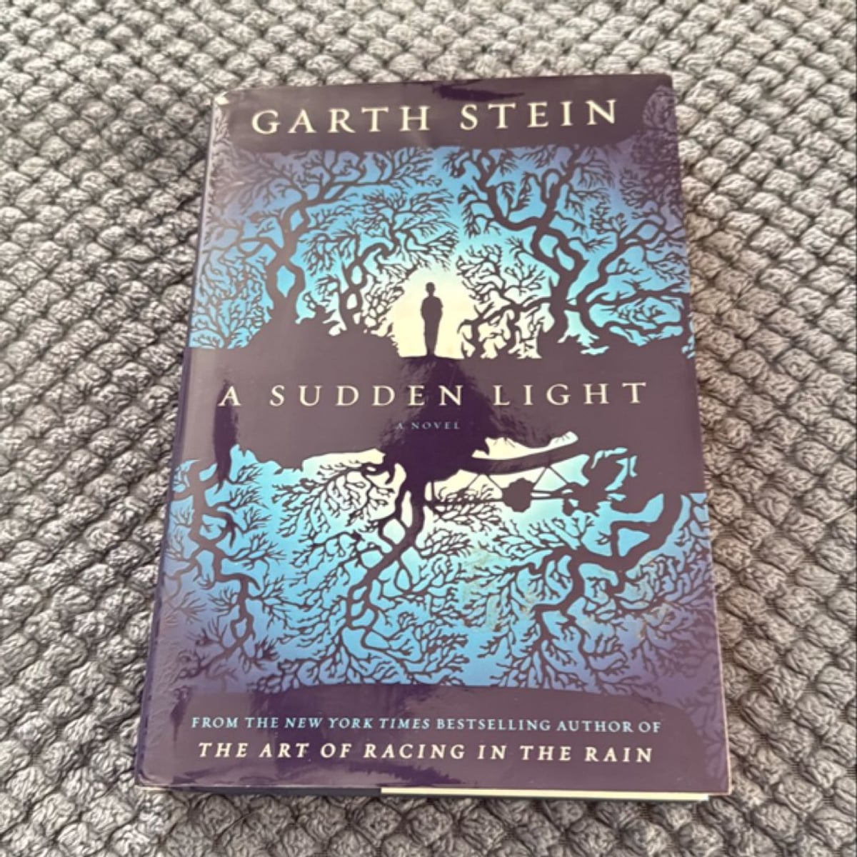 A Sudden Light by Garth Stein, Hardcover | PangoBooks
