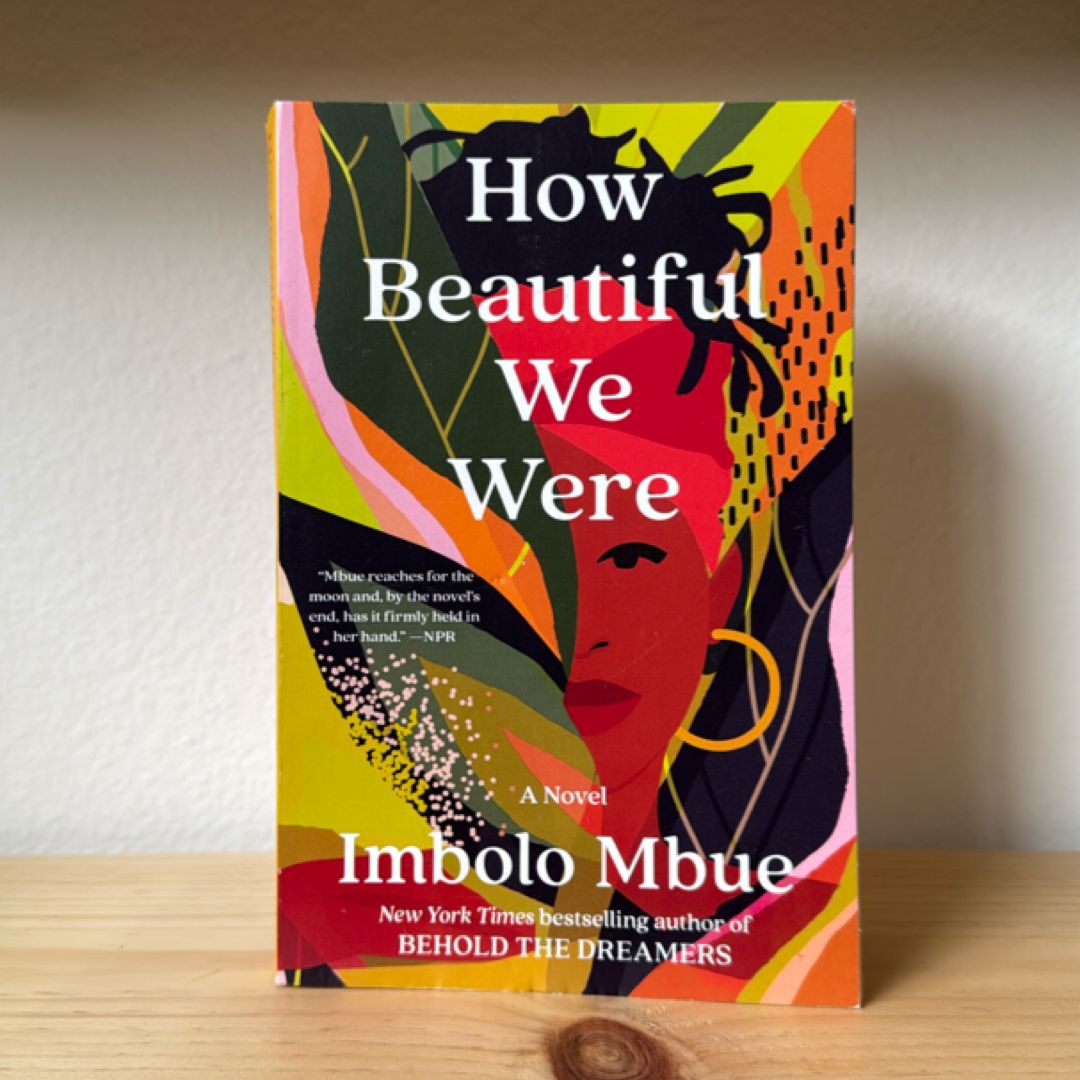 How Beautiful We Were