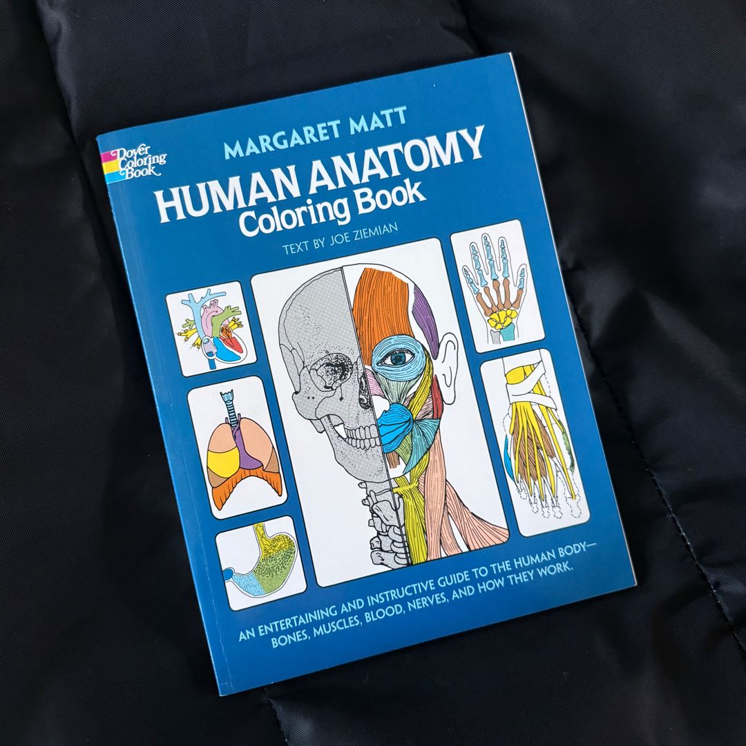 Human Anatomy