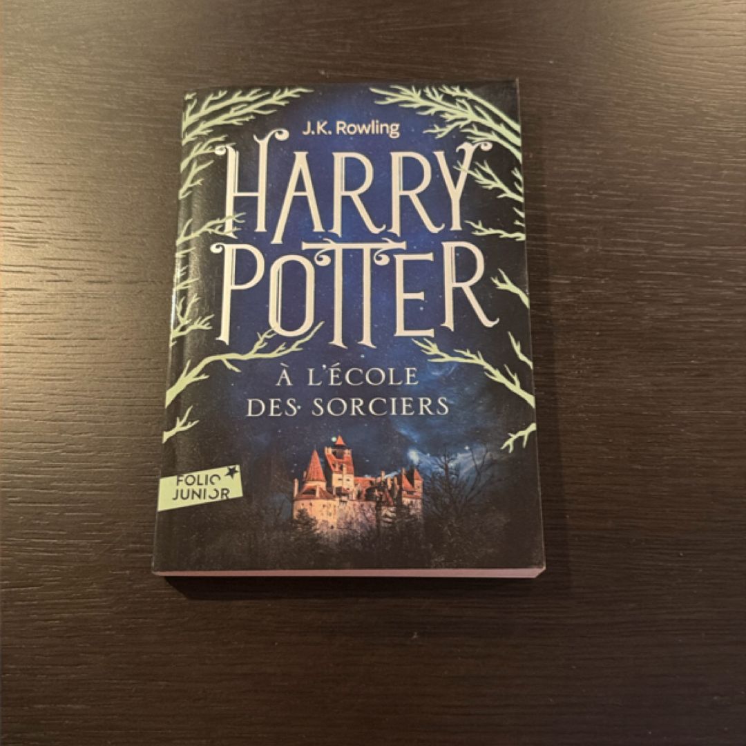 Harry Potter a l'Ecole des Sorciers