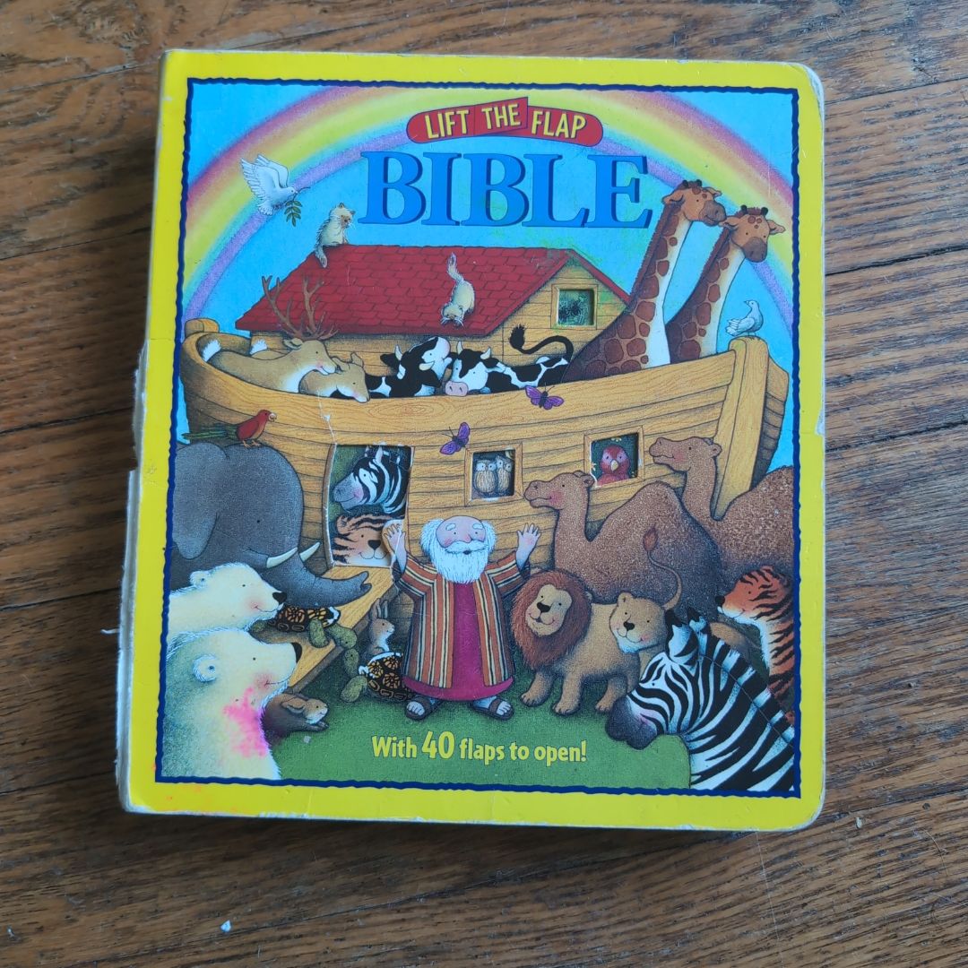 Lift the Flap Bible