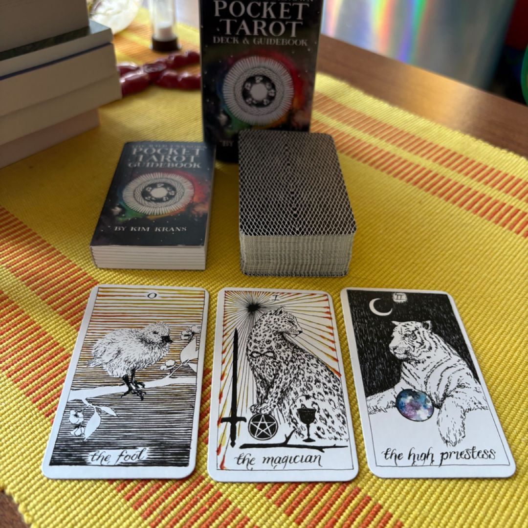 The Wild Unknown Pocket Tarot