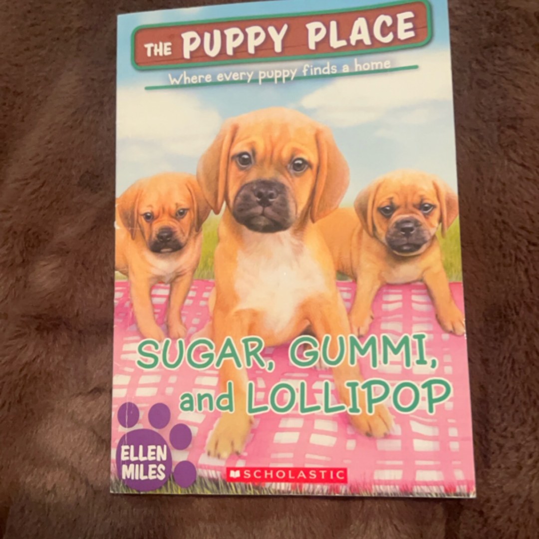 Sugar, Gummi and Lollipop