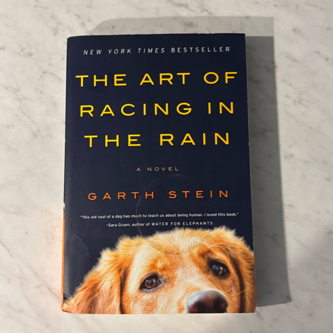 The Art of Racing in the Rain