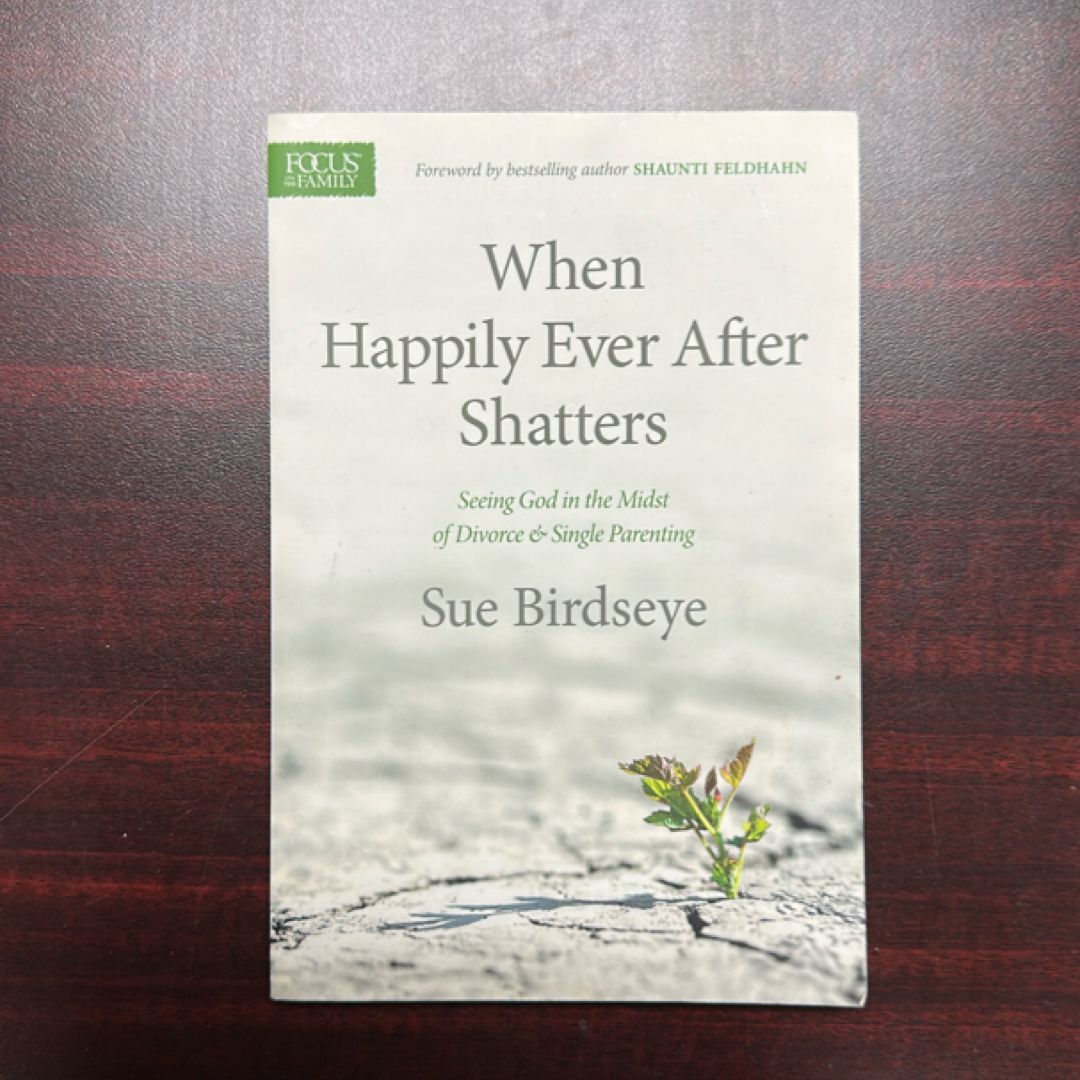 When Happily Ever after Shatters