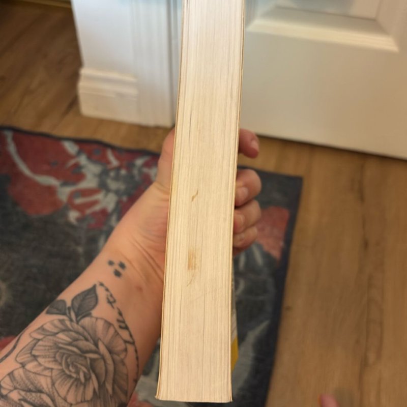 The New Essential Guide to Lesbian Conception, Pregnancy, and Birth