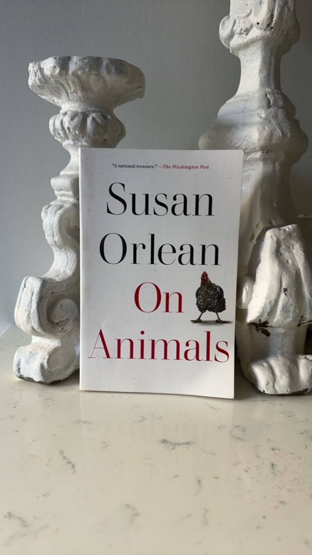 On Animals