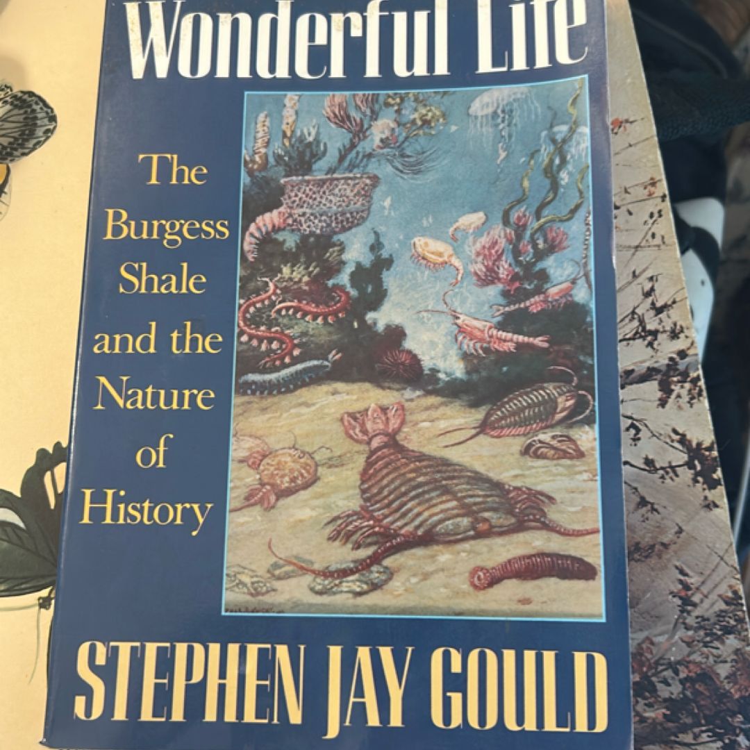 Wonderful Life