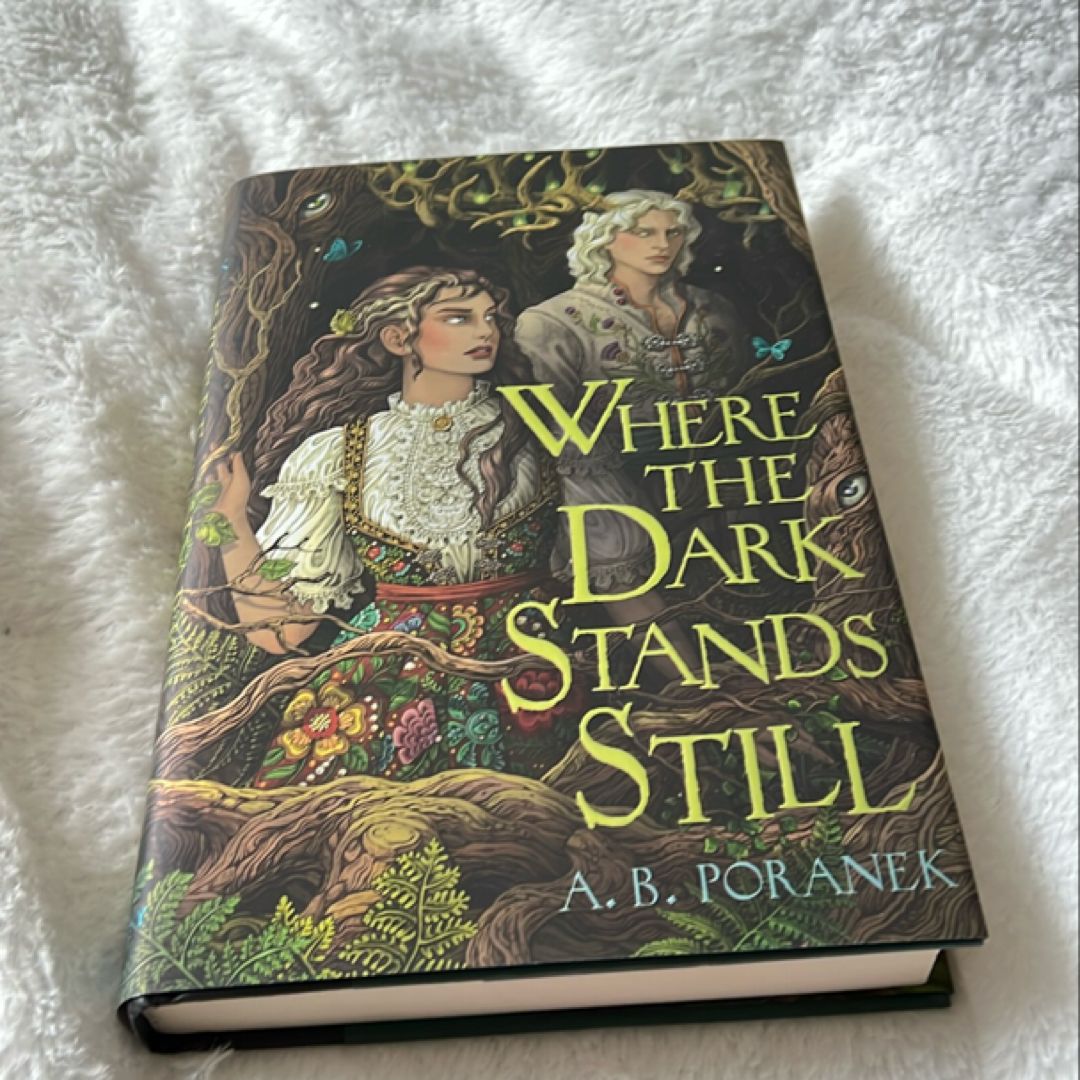 Where the Dark Stands Still