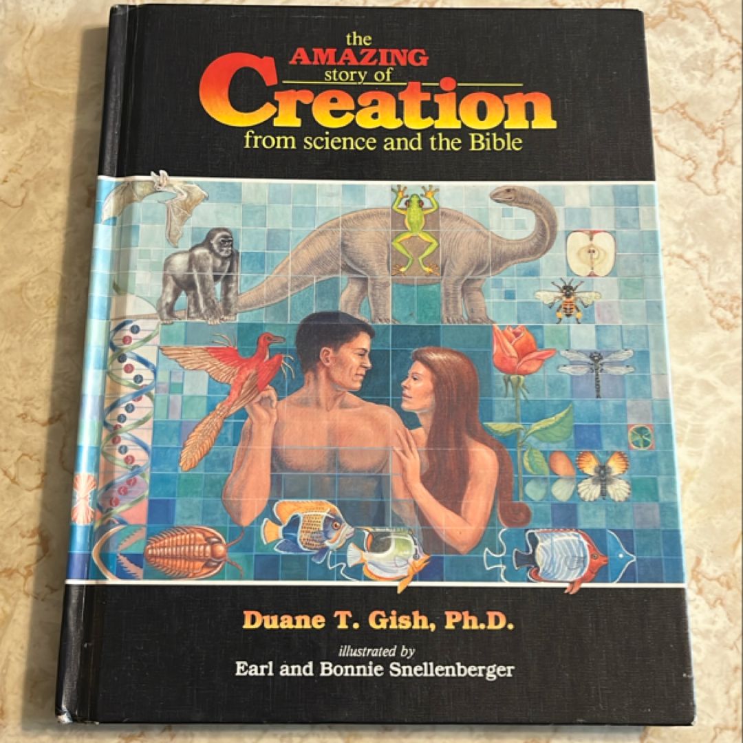 The Amazing Story of Creation