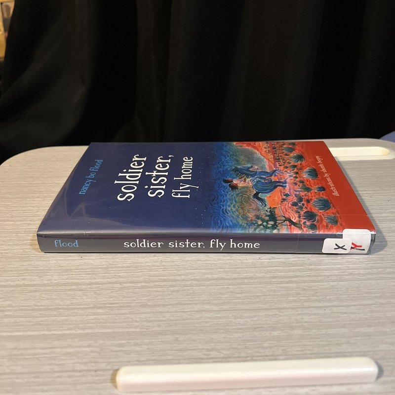 Soldier Sister, Fly Home