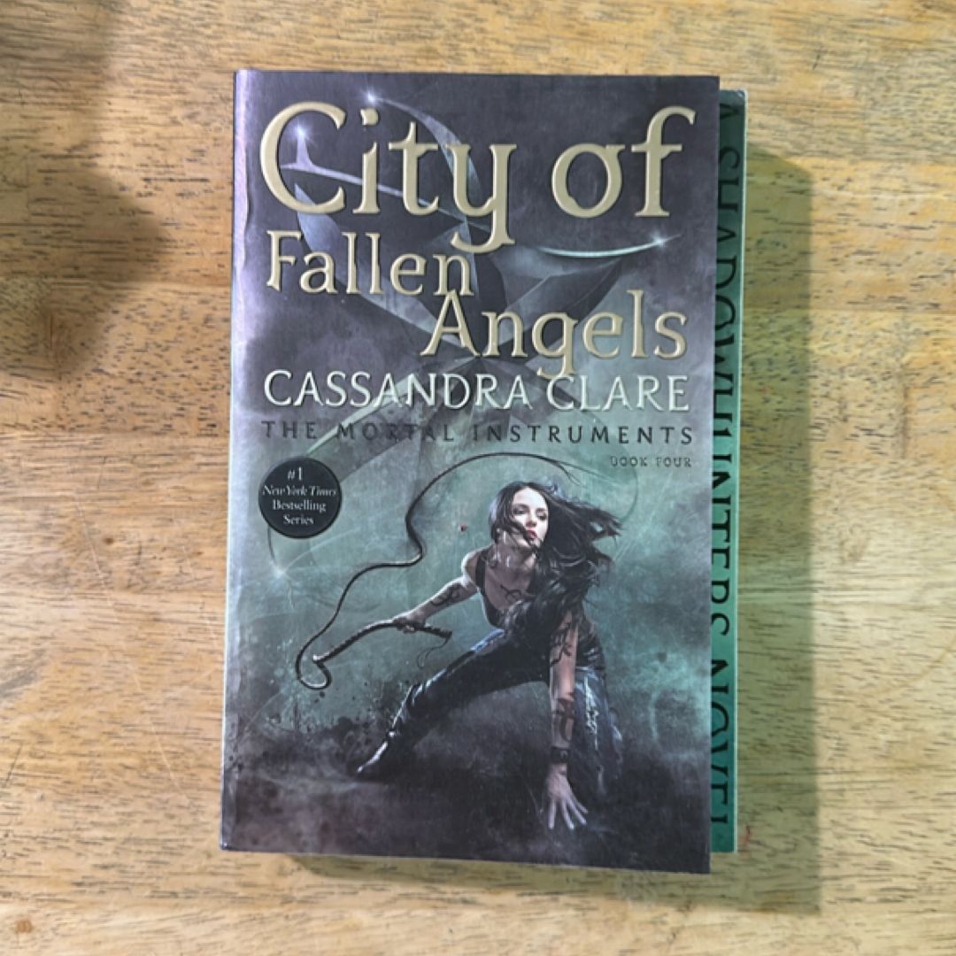 City of Fallen Angels
