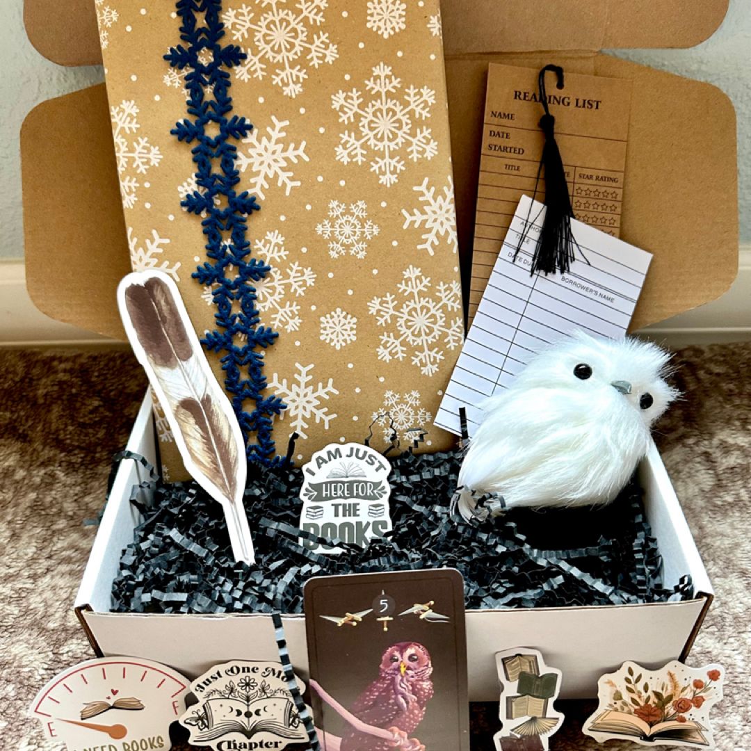 WINTER *themed* Blind Date with a Book Box